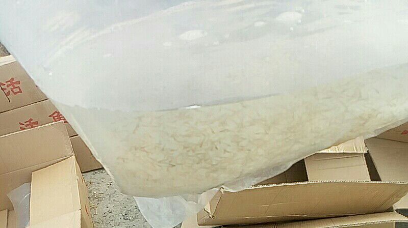青鱼乌子
