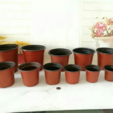 盆栽花卉双色花盆育苗盆营养钵塑料花盆