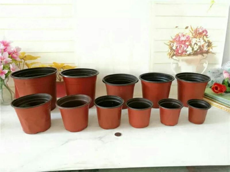盆栽花卉双色花盆育苗盆营养钵塑料花盆