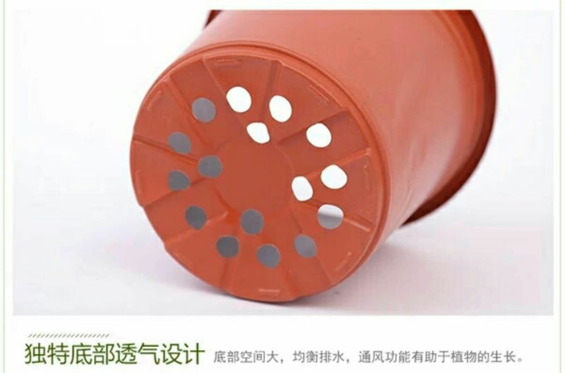 盆栽花卉双色花盆育苗盆营养钵塑料花盆