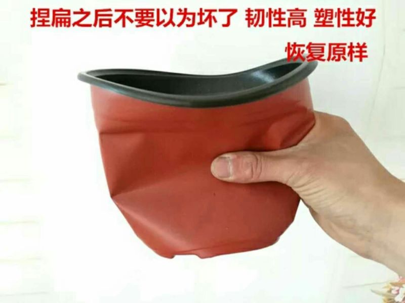 盆栽花卉双色花盆育苗盆营养钵塑料花盆
