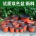 盆栽花卉双色花盆育苗盆营养钵塑料花盆