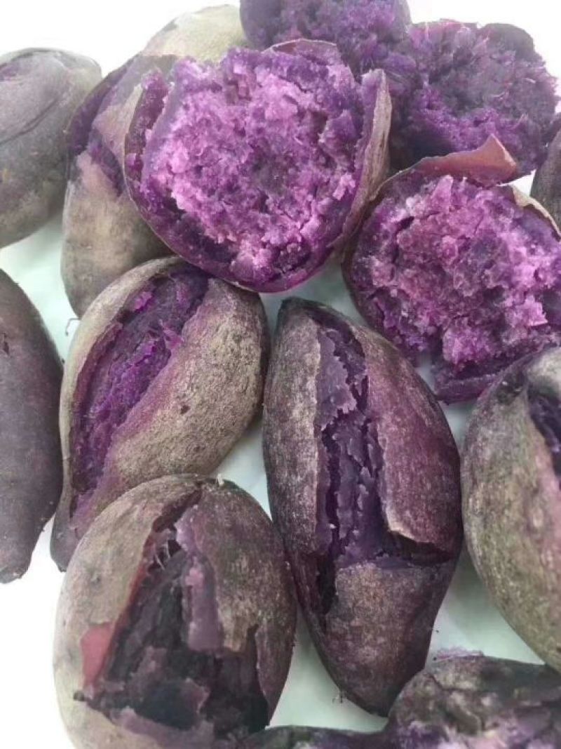 越南小紫薯1到2两