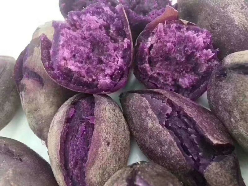 越南小紫薯1到2两