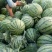 【推荐】安徽西瓜头茬8424西瓜6斤起8成熟可发全国