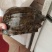 野生甲鱼从小到大都有