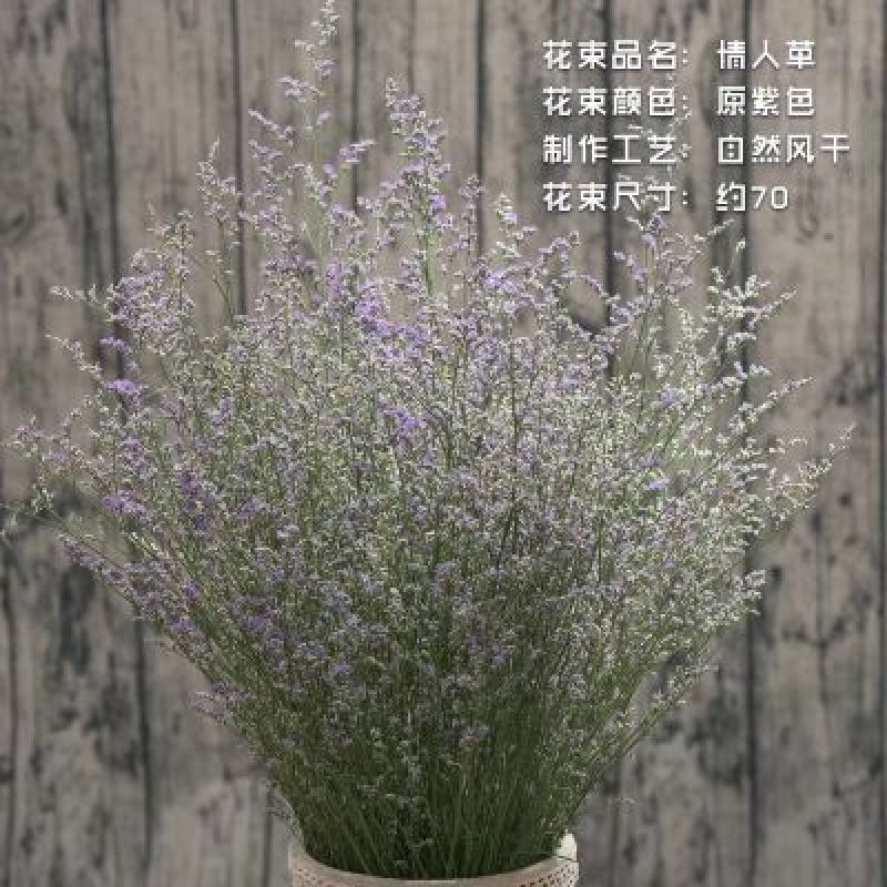 玫瑰花30~50cm