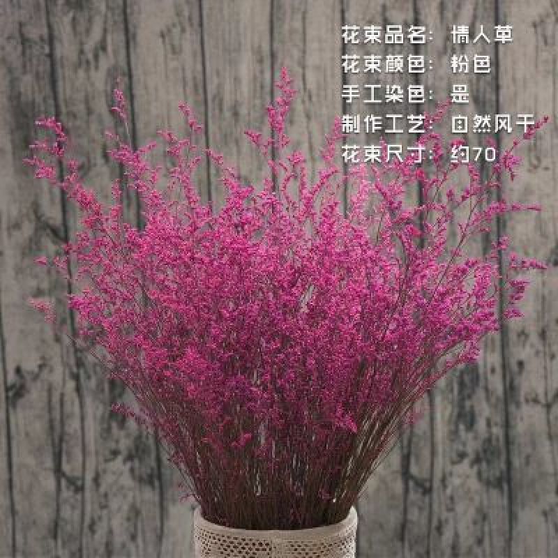 玫瑰花30~50cm