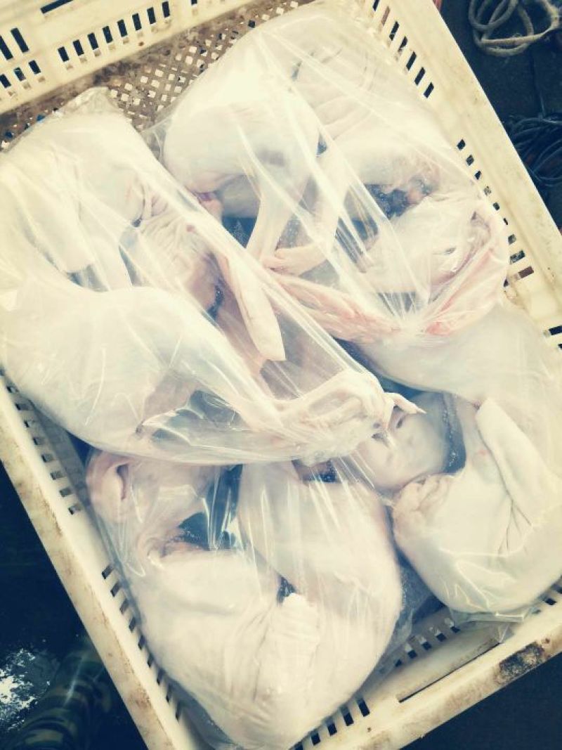 3斤以上汤皮兔肉根据客户要求
