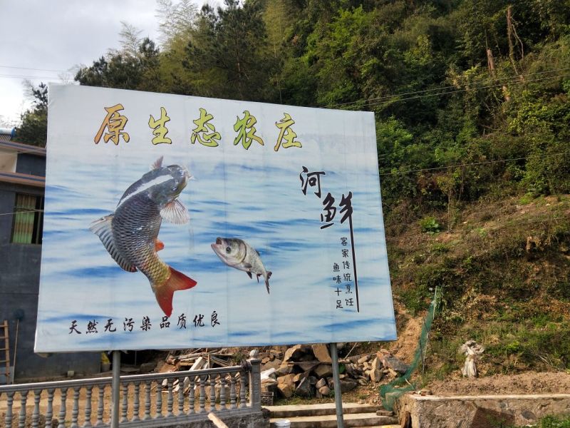 土鸡蛋