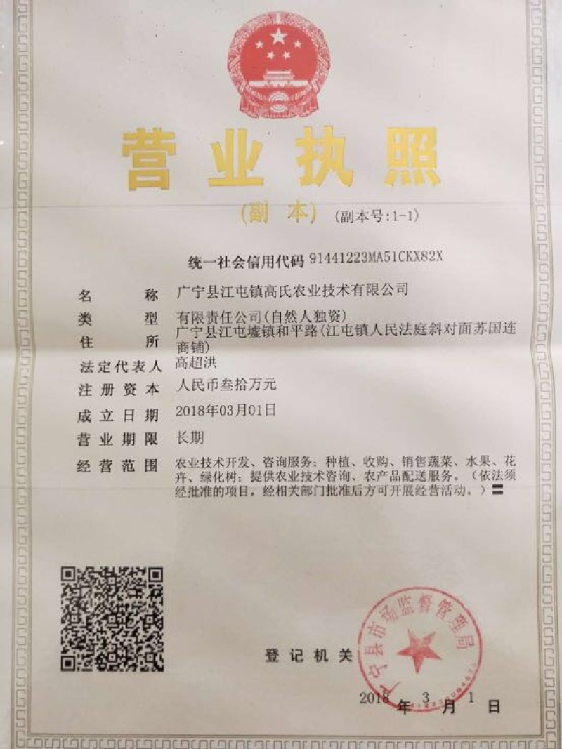 秋葵10~12cm