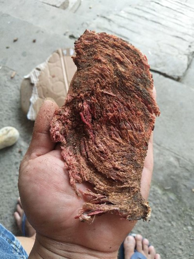 傣家秘制手撕牛肉干巴