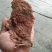 傣家秘制手撕牛肉干巴
