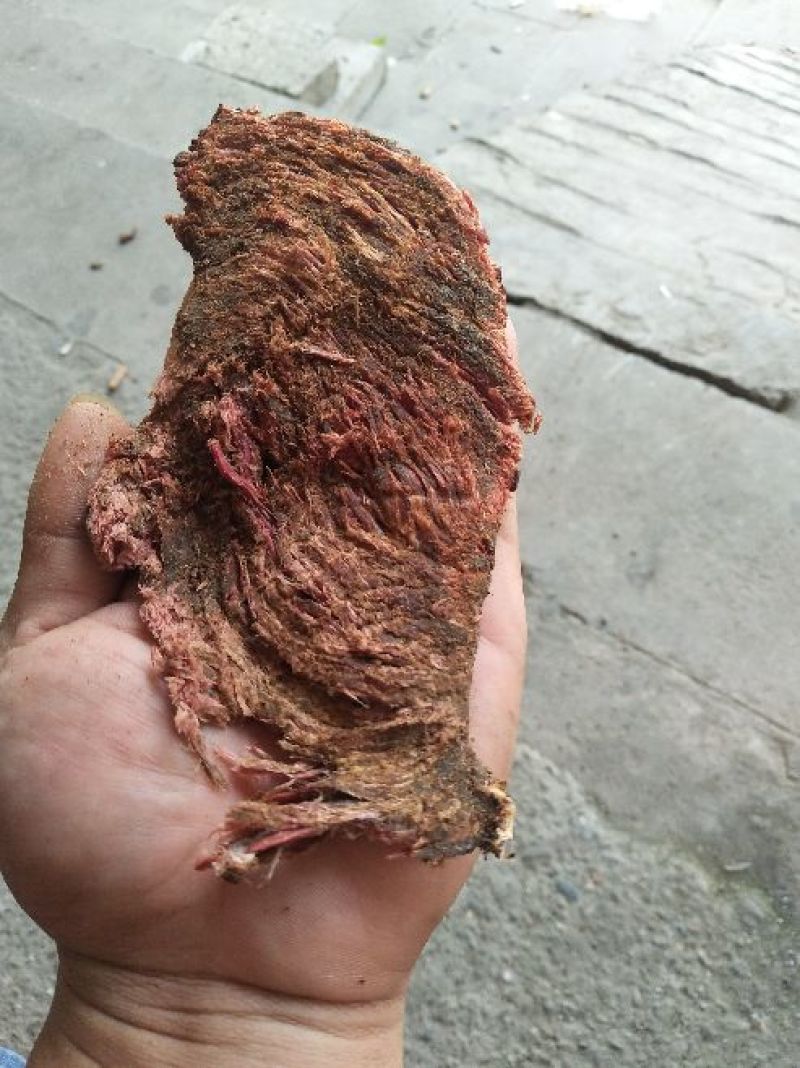 傣家秘制手撕牛肉干巴