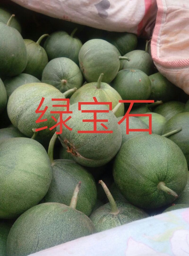 新乐市甜瓜4月份大量上市欢迎新老客户前来选购随到随装车