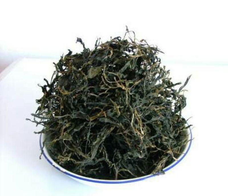 苦斋干（苦斋婆）苦菜