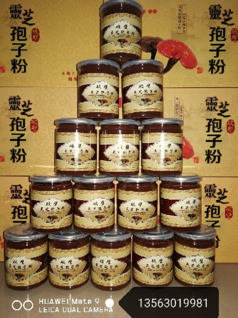 高质量灵芝孢子粉