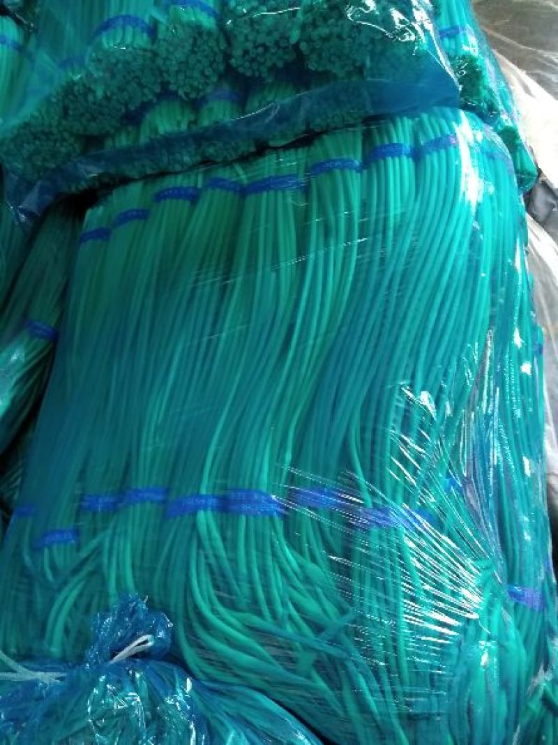 蒜薹精品60~70cm