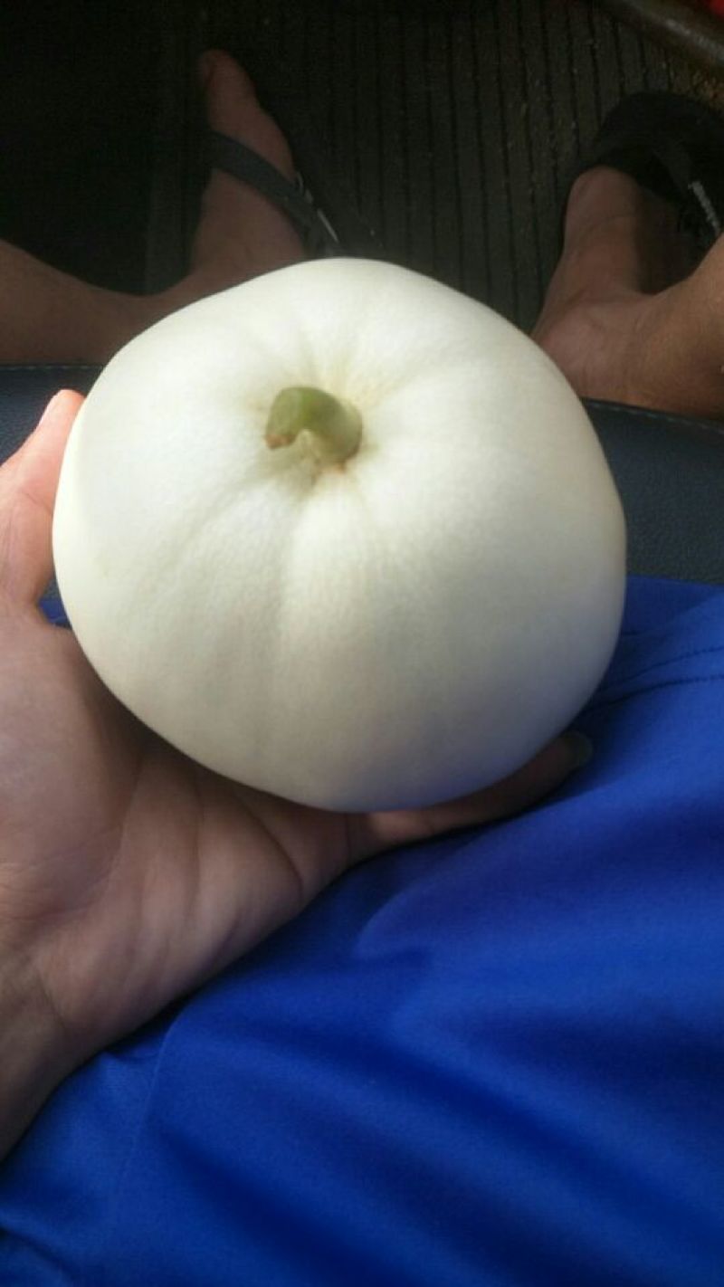 香瓜，哈密瓜