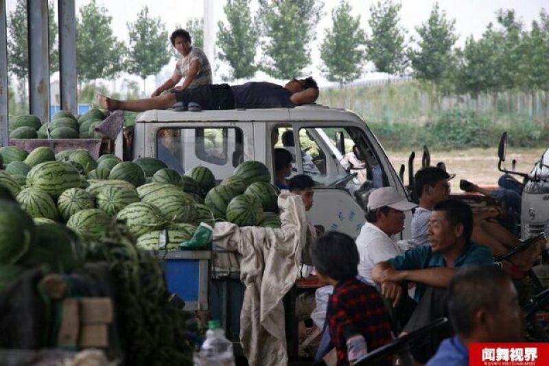 大量西瓜上市