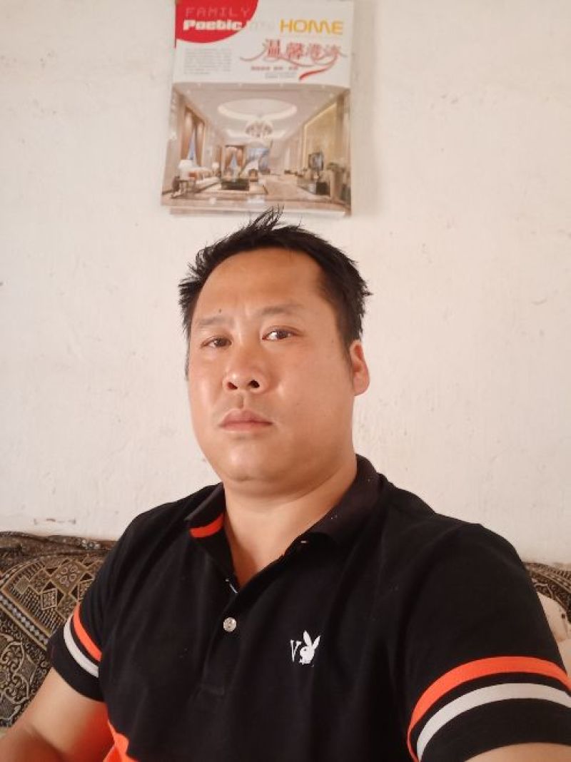 桑葚干，一级货，产地一手货源。