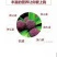 杨梅