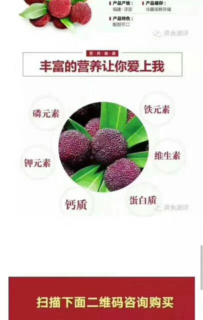 杨梅