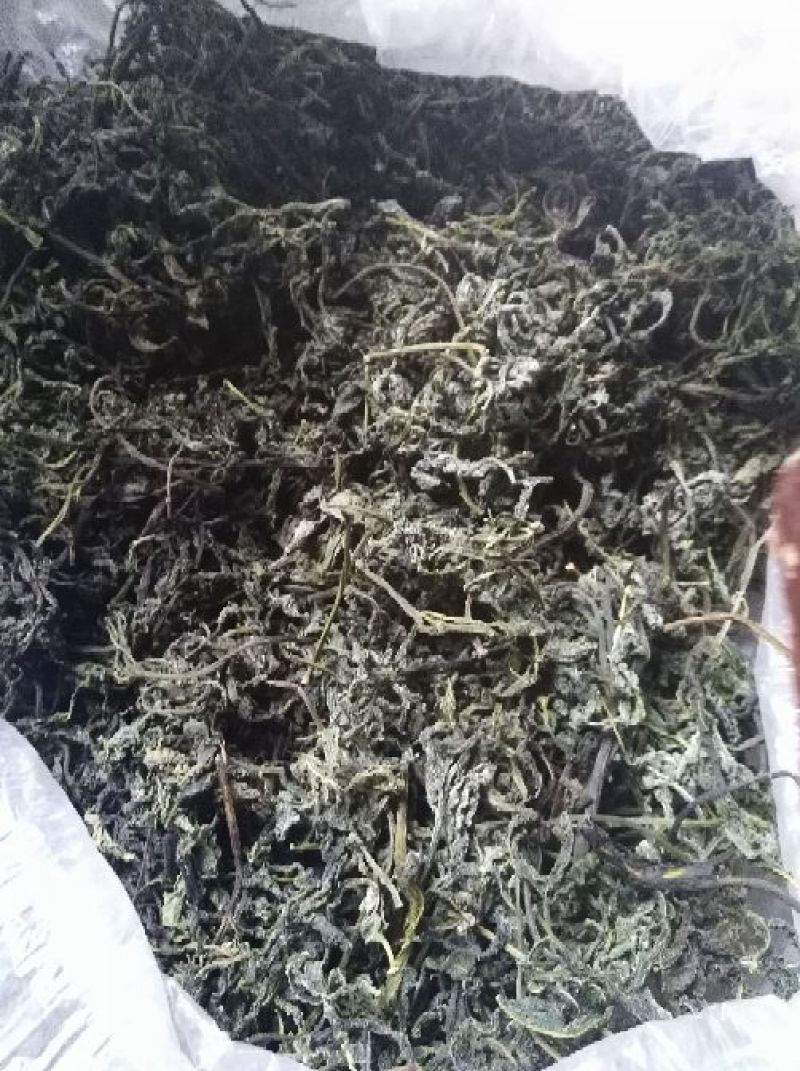 干香椿芽2020年新货产地直批