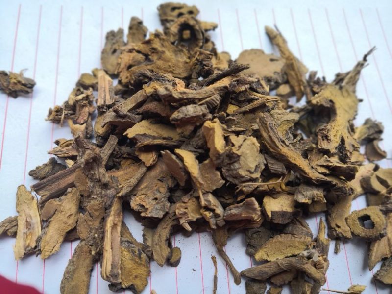 土大黄东北1公斤起批无硫无添加不包邮正品