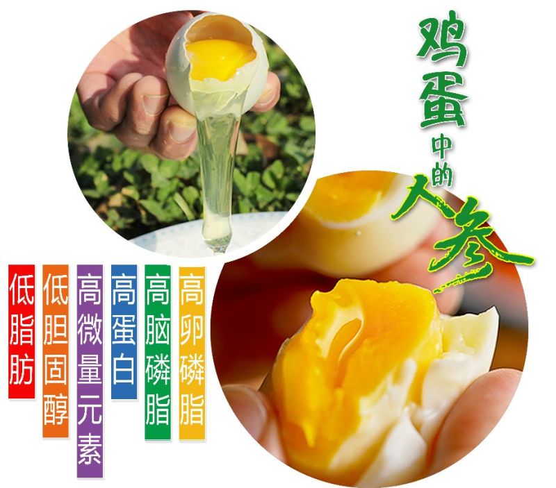长顺绿壳鸡蛋(地理标志产品)
