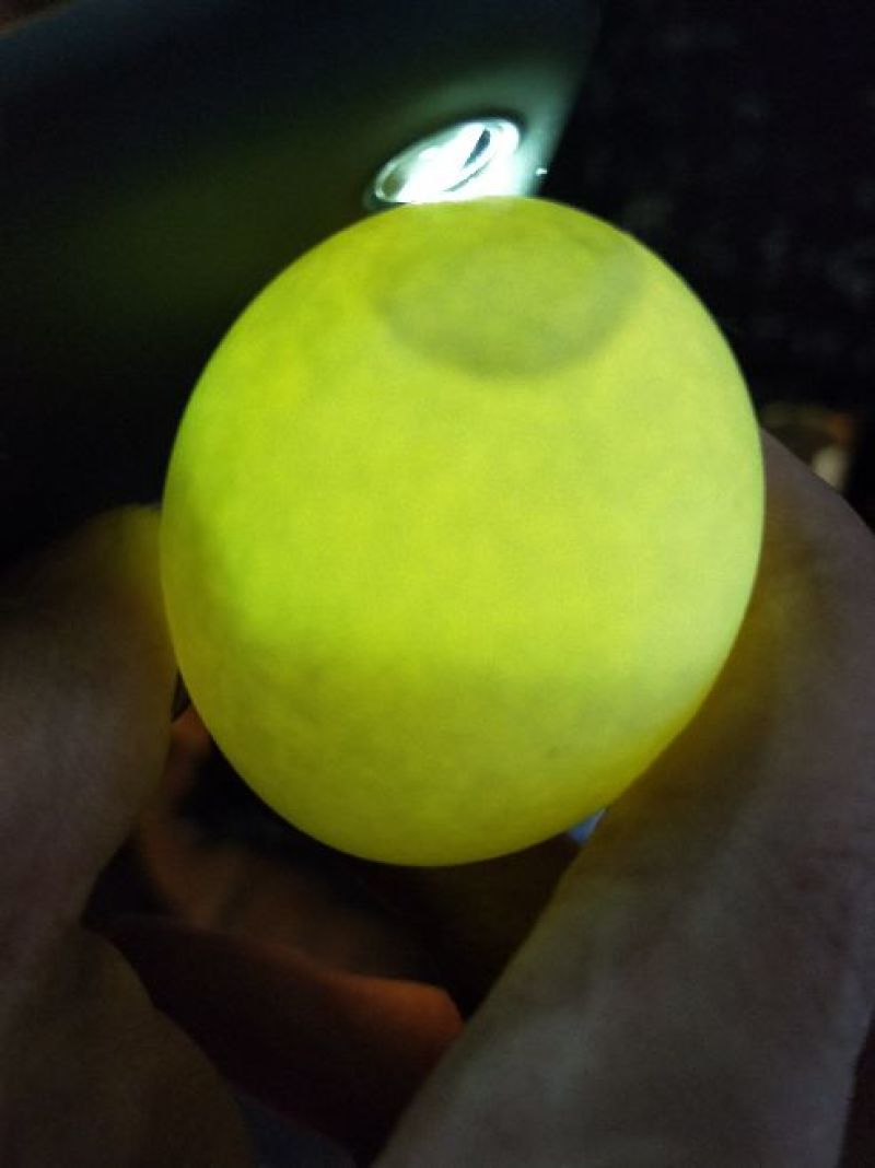长顺绿壳鸡蛋(地理标志产品)