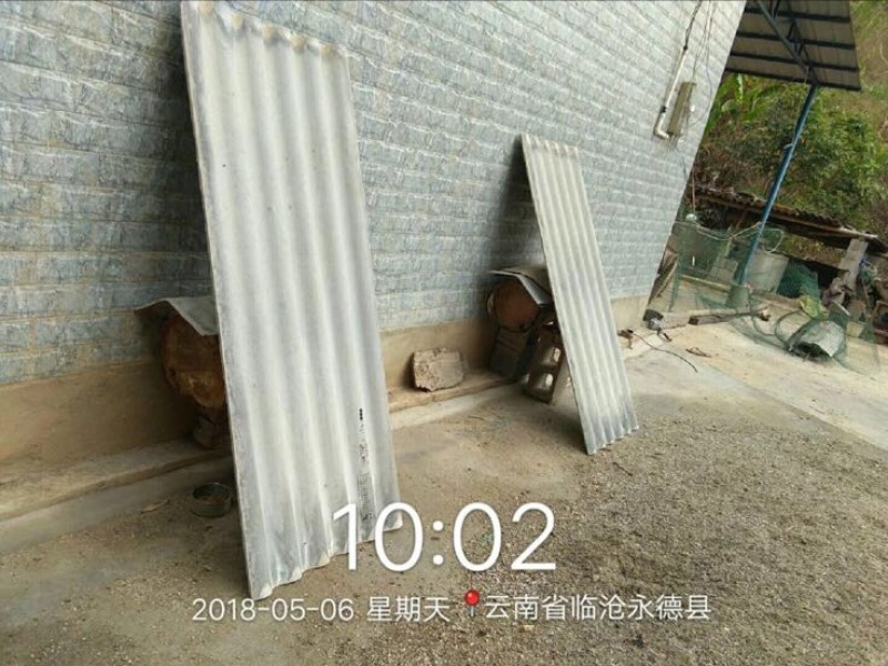 蜂蜜10斤