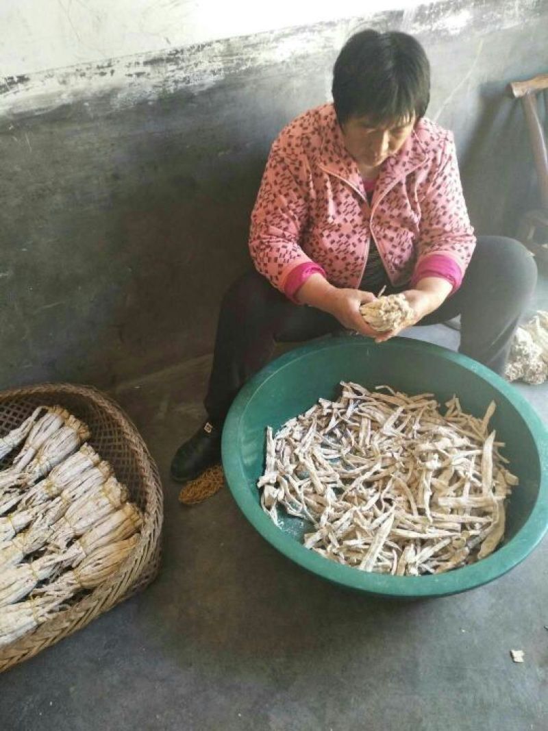 自家采摘的野竹笋干