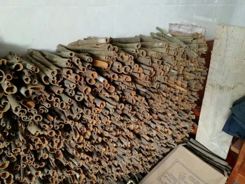 桂皮散装统货批发