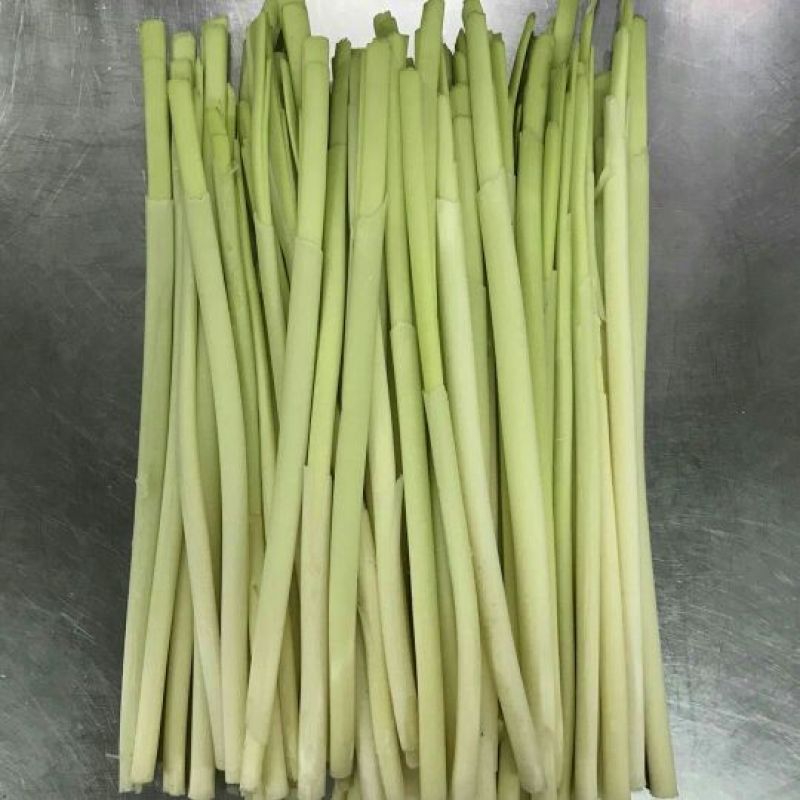 微山湖、蒲菜