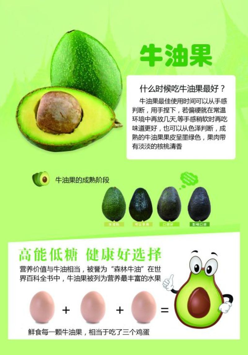 牛油果苗