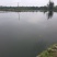 红鲤红鲤鱼鲤鱼