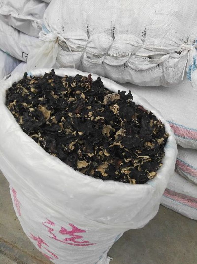 洗水木耳黑木耳毛木耳地摊畅销木耳