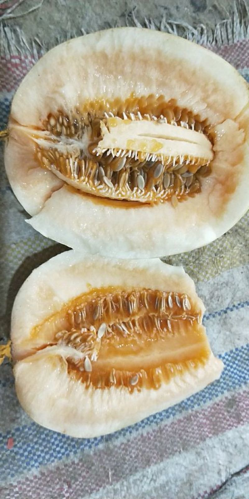 东方蜜，芝麻密，白薄皮
