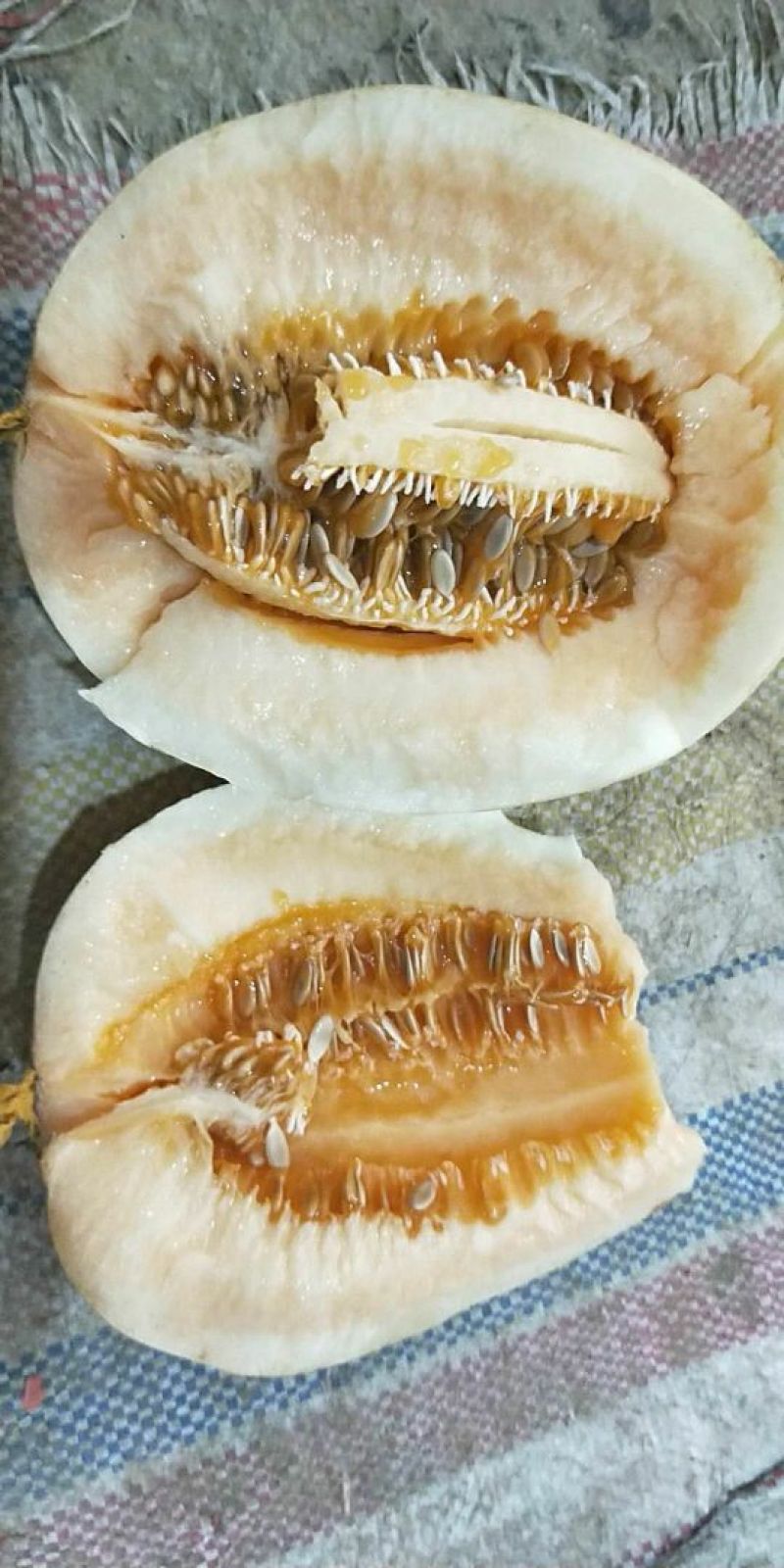 东方蜜，芝麻密，白薄皮