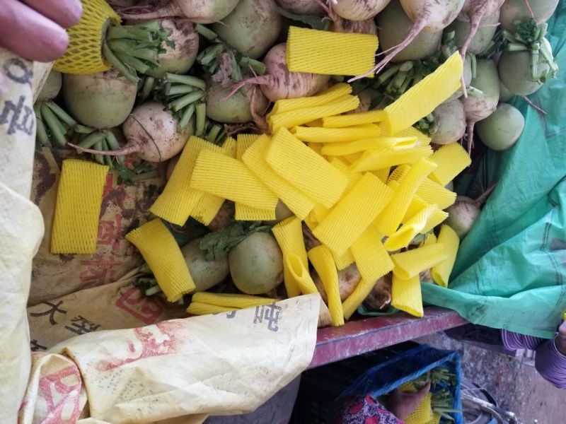 心里美萝卜大量上市，山东心里美，满堂红。