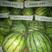 湖南麒麟西瓜，种植大户直销，包熟包甜，规格齐全，量大从优