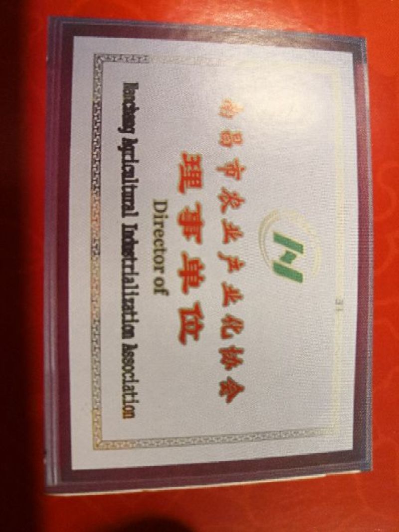 出口品质纯红薯淀粉