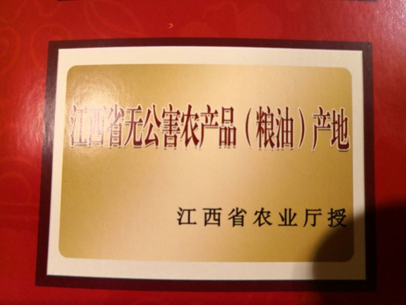出口品质纯红薯淀粉