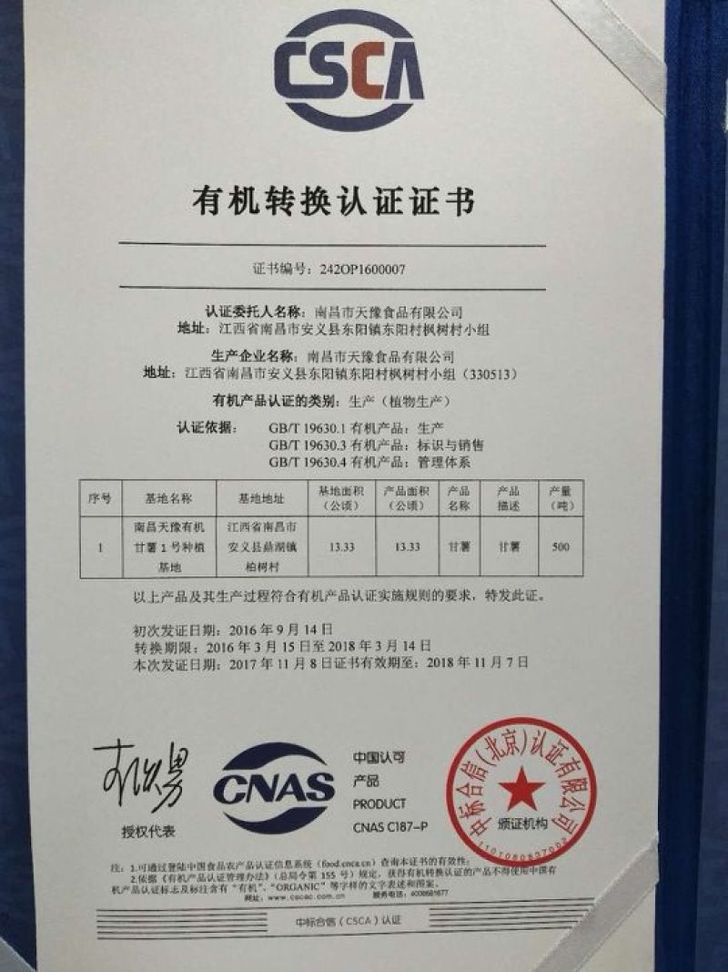 出口品质纯红薯淀粉