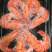对虾干