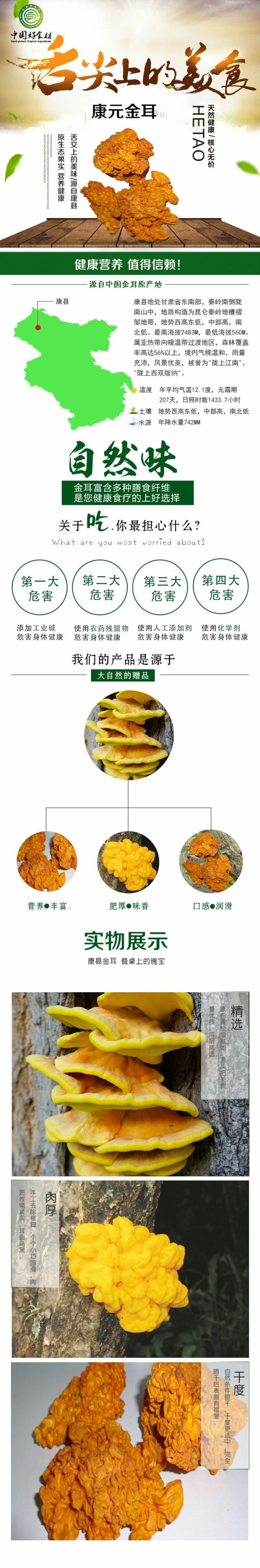 植物界“燕窝”金耳
