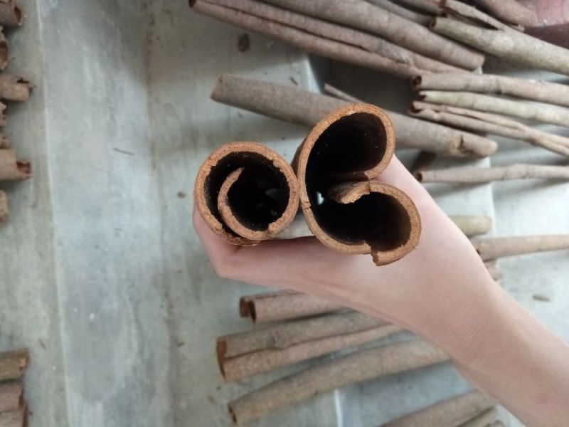 桂皮供应，大量有货
