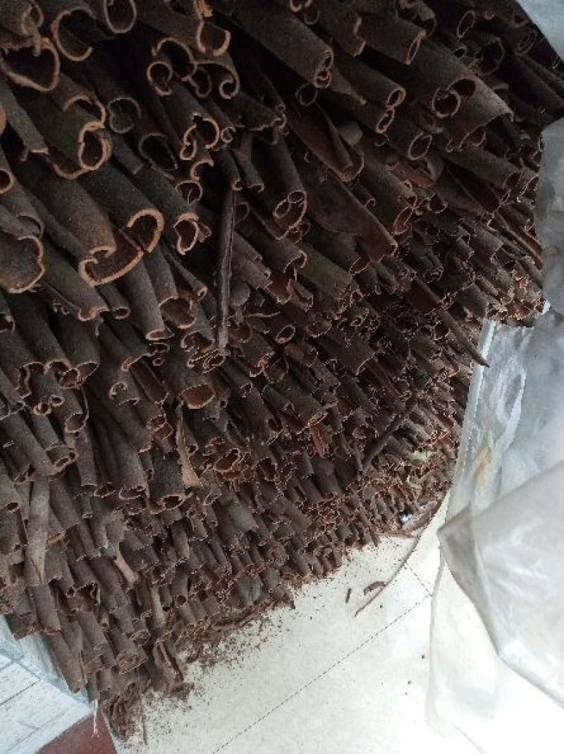 桂皮供应，大量有货