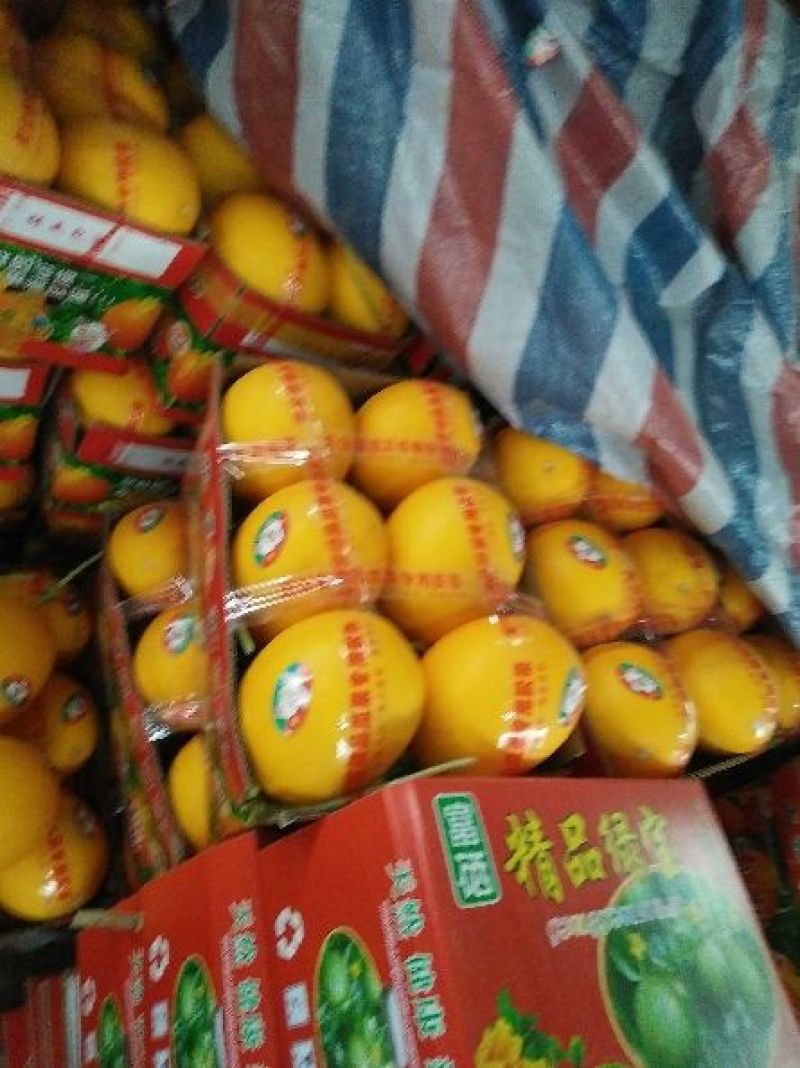 瑞红